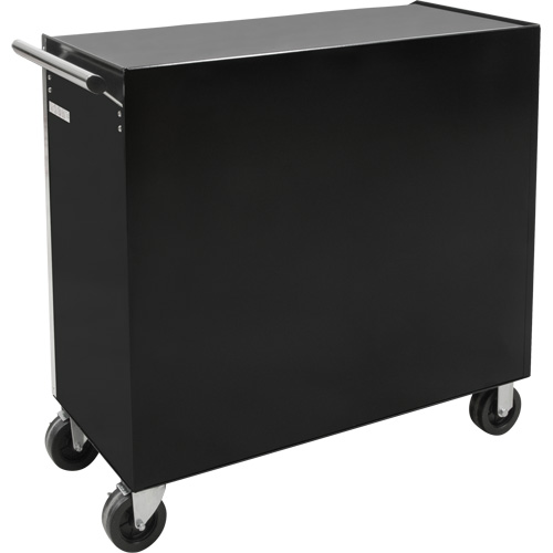 Chariot &agrave; outils industriel, 11 tiroirs, 41" la x 18-3/4" p x 39-1/3" h, Noir Oxford Builders Supplies Inc