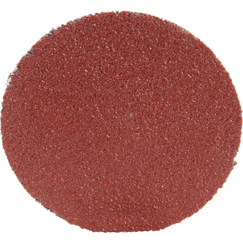 Disque 361F Roloc, 1-1/2" dia., Grain P100, Oxyde d'aluminium Oxford Builders Supplies Inc