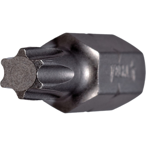 Embout, Torx, 6, Prise 1/4" Oxford Builders Supplies Inc