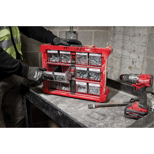 Organisateur PACKOUT &agrave; bac inclinable, 15-1/5" x 19-7/10" x 6-7/10", Noir/Rouge Oxford Builders Supplies Inc