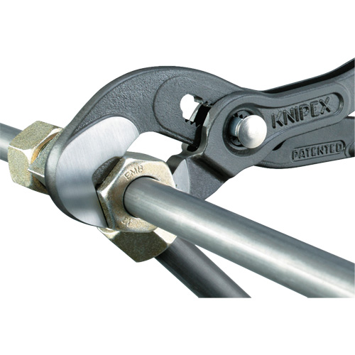 Pince Raptor, 10" Oxford Builders Supplies Inc