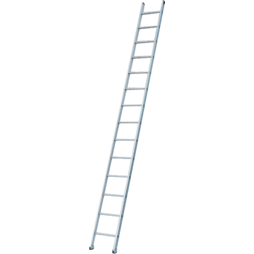Industrial Heavy-Duty Extension/Straight Ladders, 8', Aluminum, 300 lbs., CSA Grade 1A Oxford Builders Supplies Inc