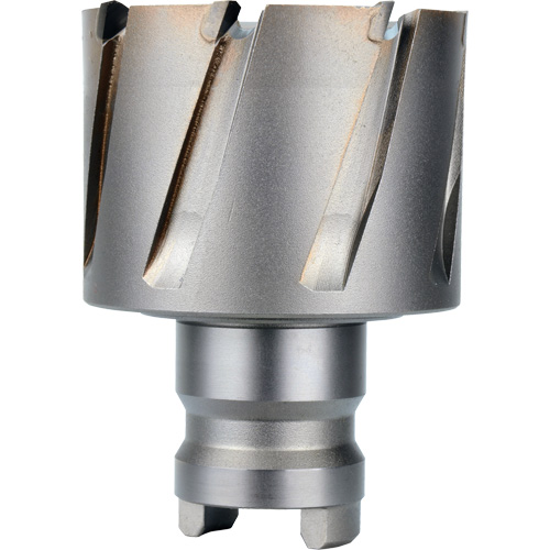 Fraise avec tenon &agrave; changement rapide Drive Hawg, Diam&egrave;tre de 2", Acier, Profondeur de la coupe de 1" Oxford Builders Supplies Inc