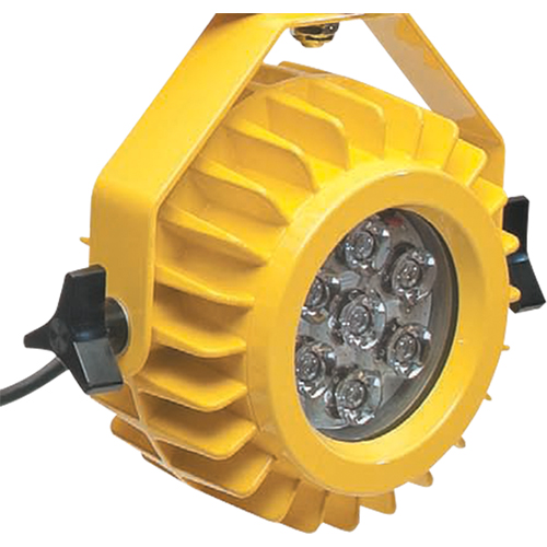 Lampe robuste DEL pour les quais - t&ecirc;te seulement Oxford Builders Supplies Inc