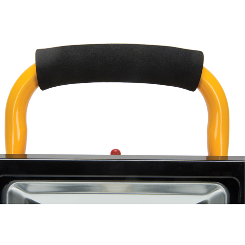 Projecteur portatif, DEL, 20 W, 2500 lumens, Boîtier en Aluminium Oxford Builders Supplies Inc