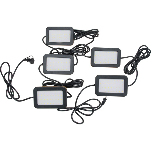 LED String Work Lights, 5 Lights, 50' L, Plastic Housing Oxford Builders Supplies Inc