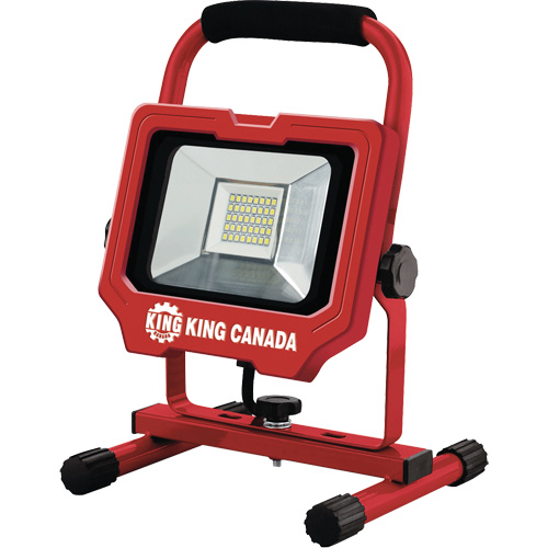 Baladeuse, DEL, 20 W, 3000 lumens, Boîtier en Aluminium Oxford Builders Supplies Inc