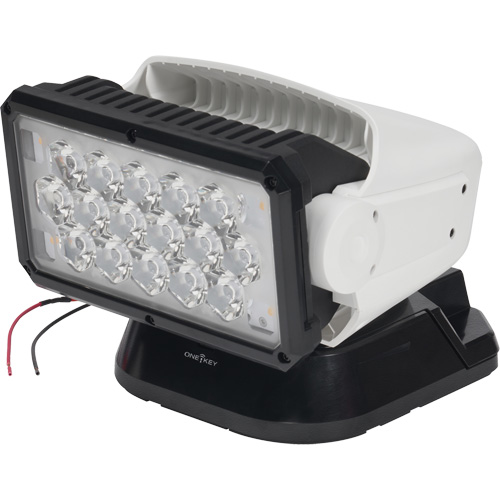 Projecteur orientable polyvalent &agrave; t&eacute;l&eacute;commande, DEL, 4250 lumens Oxford Builders Supplies Inc