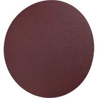 PSA Cloth Disc 248D, 12" Dia., 36 Grit, Aluminum Oxide Oxford Builders Supplies Inc