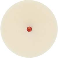 Scotch-Brite Moulding Adhesive & Stripe Removal Disc, 7501, 4" Dia. Oxford Builders Supplies Inc