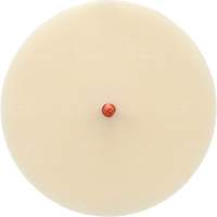 Scotch-Brite Moulding Adhesive and Stripe Removal Disc 7502, 6" Dia. Oxford Builders Supplies Inc