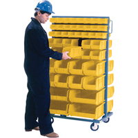 Double-Sided Mobile Bin Rack, Double-sided, 96 bins, 36" W x 24" D x 63" H Oxford Builders Supplies Inc