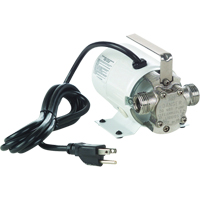 Non-Submersible, Self-Priming Plated Brass Transfer Pumps - Pump Only, 115 V, 360 GPH, 1/10 HP Oxford Builders Supplies Inc