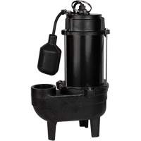 Pompe d'&eacute;gout en fonte, 120 V, 9,5 A, 6000 gal./h, 1/2 CV Oxford Builders Supplies Inc