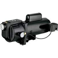 Dual Voltage Cast Iron Shallow Well Jet Pump, 115 V/230 V, 1260 GPH, 1 HP Oxford Builders Supplies Inc