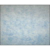High-Arrestance Synthetic Media Filters, Roll, MERV 5, 25" W x 2" D x 720" H Oxford Builders Supplies Inc