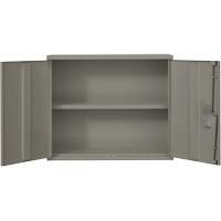 Armoire murale, Acier, 2 Tablettes, 30" h x 36" la x 12" P, Gris Oxford Builders Supplies Inc