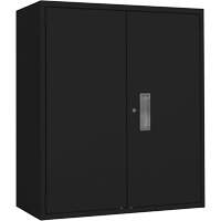 Armoire de rangement Lo-Boy, Acier, 2 Tablettes, 42" h x 36" la x 18" P, Noir Oxford Builders Supplies Inc