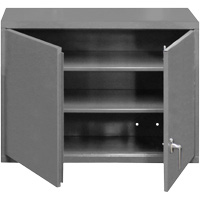Wall-Mounted Cabinet, 27" H x 29-7/8" W x 13-11/16" D, 2 Shelves, Steel, Grey Oxford Builders Supplies Inc