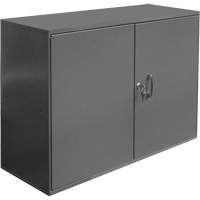 Armoire pour accessoires abrasifs, Acier, 2 tiroirs, 33-3/4" x 11-7/8" x 23-7/8", Gris Oxford Builders Supplies Inc