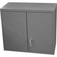 Wall-Mounted Cabinet, 27" H x 13-11/16" W x 35-7/8" D, 2 Shelves, Steel, Grey Oxford Builders Supplies Inc