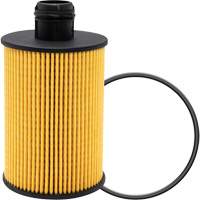 P40147 &eacute;l&eacute;ment filtrant pour l'huile Oxford Builders Supplies Inc