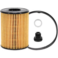P40164 &eacute;l&eacute;ment filtrant pour l'huile Oxford Builders Supplies Inc