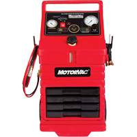 CarbonClean 245 Gasoline Engine System Oxford Builders Supplies Inc