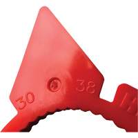 Indicateur d'&eacute;crous de tailles multiples desserr&eacute;s HexChex Oxford Builders Supplies Inc