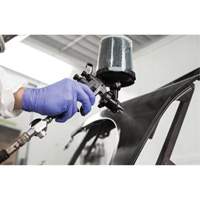 Performance Fine Finish Spray Gun System with PPS Cups, 13 CFM, 29 PSI Oxford Builders Supplies Inc