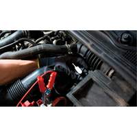 Pompette de purge de frein Brake-Pro &agrave; structure haute avec adaptateurs Oxford Builders Supplies Inc