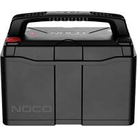 Group 31 120Ah Lithium-Ion LiFePO4 Dual-Purpose Battery Oxford Builders Supplies Inc