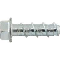 Boulons Wedge Bolts, Acier au carbone, 1/2" x 2" Oxford Builders Supplies Inc