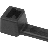 PA66 Cable Ties, 5-1/2" Long, 18 lbs. Tensile Strength, Black Oxford Builders Supplies Inc