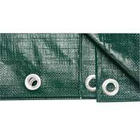 B&acirc;che, Robuste, Vert, 8' x 6' x 9 mils Oxford Builders Supplies Inc
