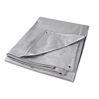 B&acirc;che, Super robuste, Argent, 10' x 8' x 12 mils Oxford Builders Supplies Inc