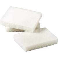 Scotch-Brite Light Duty Scrubbing Pad, 5" L x 3-1/2" W Oxford Builders Supplies Inc