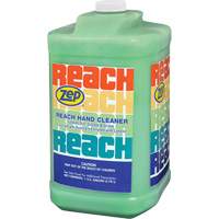 Nettoyant extra puissant pour les mains Reach, Pierre ponce, 3,78 L, Cruche, Parfum&eacute; Oxford Builders Supplies Inc