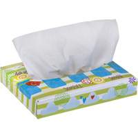 Papiers-mouchoirs pour enfants de Kleenex, 2 pli, 8,4" lo x 5,5" la, 40 feuilles/boîte Oxford Builders Supplies Inc