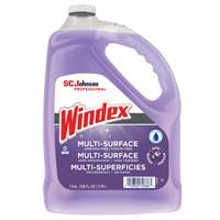 Windex&reg; Non-Ammoniated Multi-Surface Cleaner, 3.8 L, Jug Oxford Builders Supplies Inc