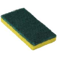 Scrubbers & Scrapers