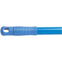 Manche, Fibre de verre, Pointe Connexion rapide, 1" dia, 60" lo Oxford Builders Supplies Inc