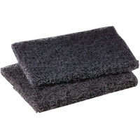 Tampon de polissage pour plaque de cuisson Scotch-Brite, 4" lo x 5" la Oxford Builders Supplies Inc