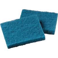 Non-Stick Cookware Cleaning Pad, Scrubbing, 5-1/4" W x 4" L Oxford Builders Supplies Inc
