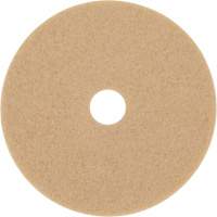 Trizact Diamond TZ Abrasive Strip, 20", Burnishing, Beige Oxford Builders Supplies Inc