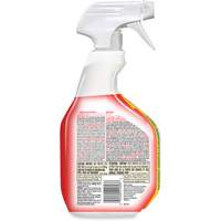 Disinfecting Bio Stain & Odour Remover, 946 ml, Trigger Bottle Oxford Builders Supplies Inc