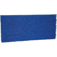 Medium Scrub Pad, 10" L x 4-1/2" W Oxford Builders Supplies Inc
