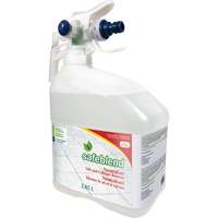 Produit concentr&eacute; pour d&eacute;tartrer, nettoyer et d&eacute;poussi&eacute;rer, Cruche, 4 L Oxford Builders Supplies Inc