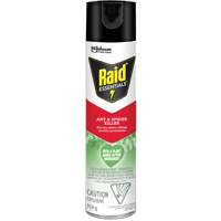 Raid&reg; Essentials Ant & Spider Killer, 350 g, Aerosol Can Oxford Builders Supplies Inc