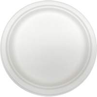 Molded Fiber Disposable Plates Oxford Builders Supplies Inc